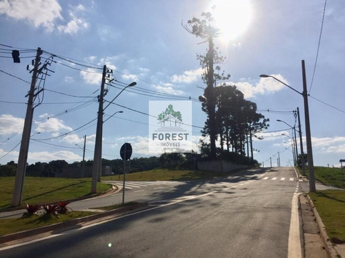 Imagem 7 de 8 de Residencial, Lotes A Venda Em Cotia, Terra Nobre - Terreno A Venda No Bairro Vila São Francisco - Cotia, Sp - Fi34516