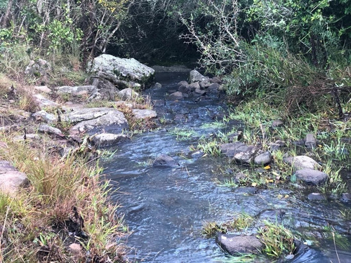 Imagen 7 de 9 de Aigua 42 Has, Campo Ganadero- Costa De Arroyo