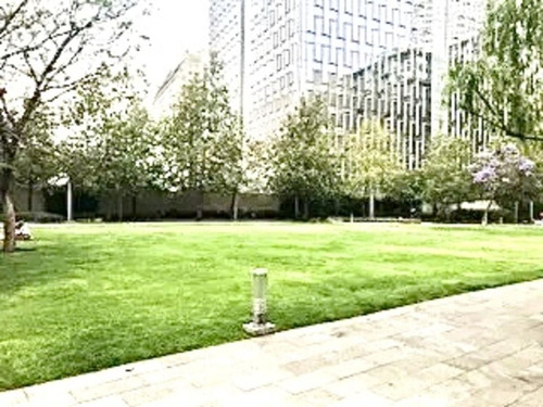 Departamento En Renta En Parques Polanco Amueblado Lindo