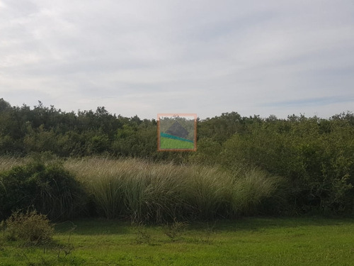 Imagen 11 de 14 de Campo 57 Hás En Garzón