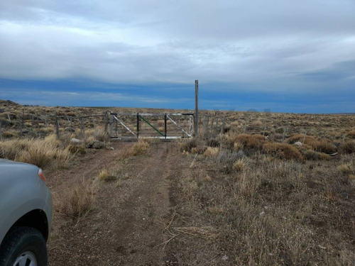 Imagen 7 de 15 de Venta Campo Productivo En La Pre-cordillera De 10623 Hectareas Cria De Ganado