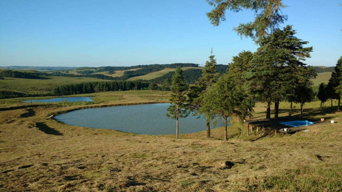 Imagem 4 de 5 de Fazenda Para Lavoura, Pecuária E Lazer, Em Gramado - Rs