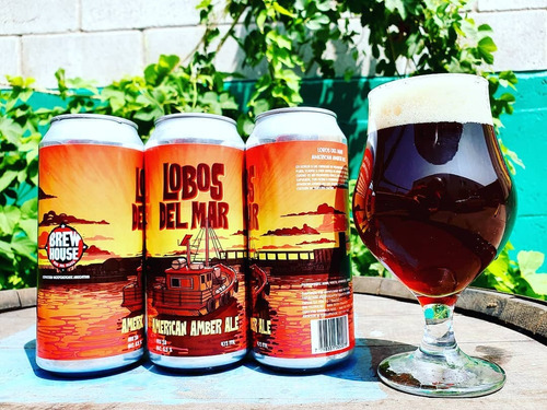 Combo X 6 Cerveza Artesanal Rojas - Scottish / Irish / Amber
