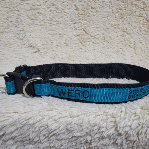 3 Collares Mascota Personalizados Esp. Un M, Un G Y Un Xg