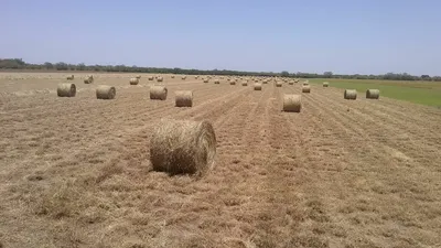 Rancho en venta