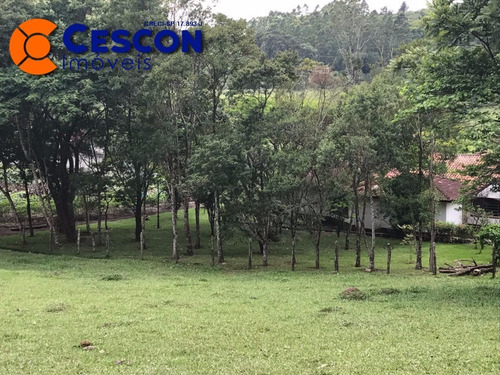 Imagem 7 de 26 de Chacara - Ch00012 - 31910680