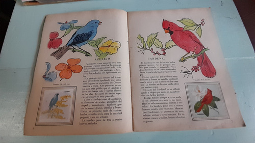 Álbum Figuritas Completo Galería De Pájaros De México (Usado)