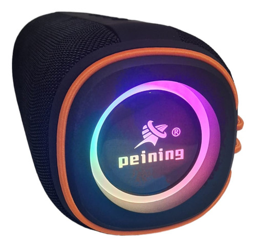 Caixa De Som Peining Pei-282 Bts Preto 60w Bluetooth Preto