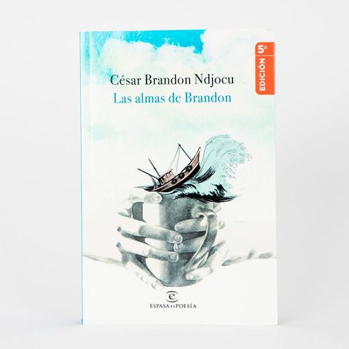 Libro Las Almas De Brandon