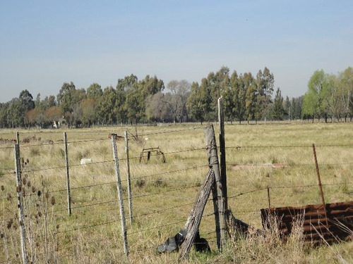 Imagen 13 de 21 de Terreno - La Plata