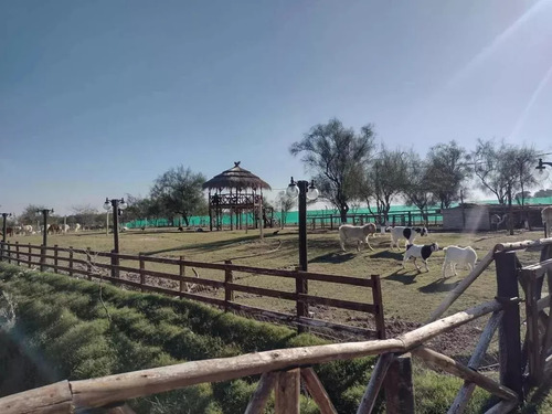 Lote En Venta En Barrio Privado Don Eugenio 2 - General Rodríguez