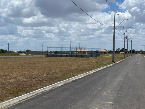 Imagem 10 de 30 de Terreno - Ak01719a6 - 67869489