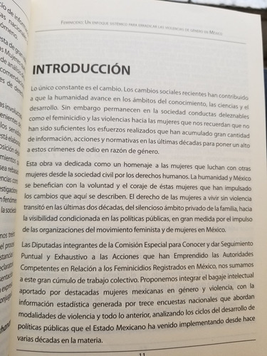 A0 Feminicidio Un Enfoque Sistémico, Camara De Diputados (Usado)