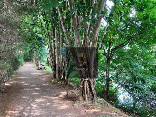 Terreno Plano No Alpha 2 - 1.120m² - Te0229
