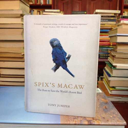 Spix's Macaw: The Race To Save The World's Rarest Bird.