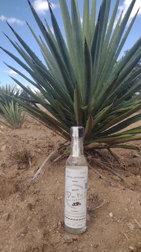 Mezcal Don Fer Bustamante | Ensamble Joven | 250 Ml