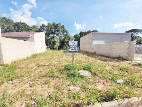 Imagem 3 de 25 de Terreno 11,5m X 30m À Venda No Bairro Eucaliptos, Em Fazenda Rio Grande. - Te00127 - 70500347