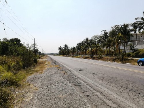 Hectáreas En Venta Veracruz Localidad El Pando, Veracruz.