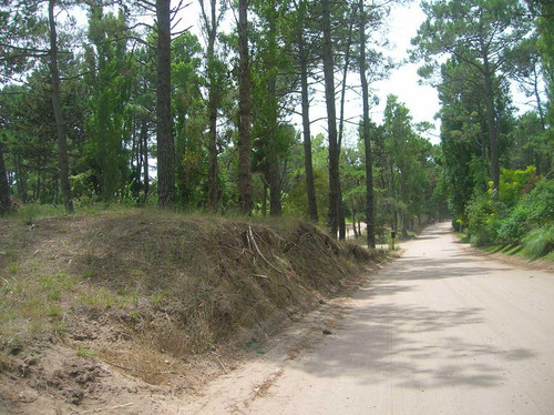 Imagen 1 de 5 de Terreno En Venta Cariló