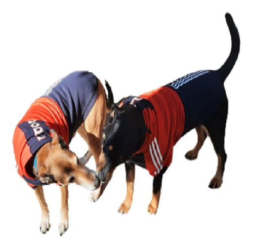 Imagen 7 de 10 de Buzos Abrigo Ropa Perros Grandes Coleccion Clima Frio Cool*