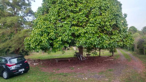 Venda De Rural / Chácara Na Cidade De Araraquara 10803