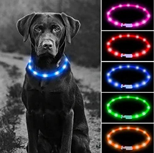 Collar Con Luces Led Para Mascotas Recargable Talla M