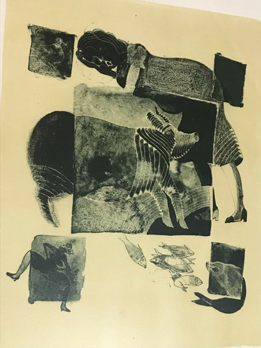 Litografìa Francisco Toledo Enmarcada Arte Oaxaqueño (Usado)
