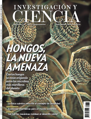 Investigación Y Ciencia Agosto 2021 (todos Los Números)