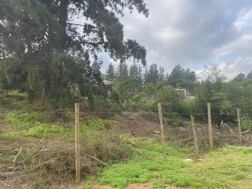Sitio En Los Pinos