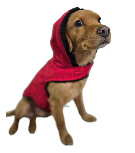 Chamarra Para Mascota Impermeable Capucha Para Perro / Gato
