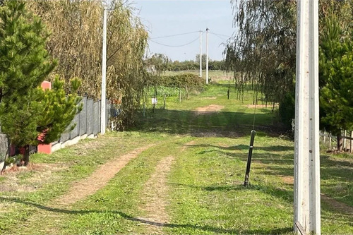 Se Vende Sitio 5000 M2 Loteo Haras De Huiquilemu