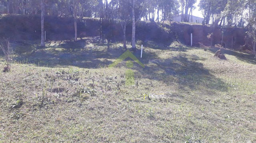 Imagem 12 de 30 de Chácara Com 2 Dorms, Sapateiro, Embu-guaçu - R$ 320 Mil, Cod: 2294 - V2294