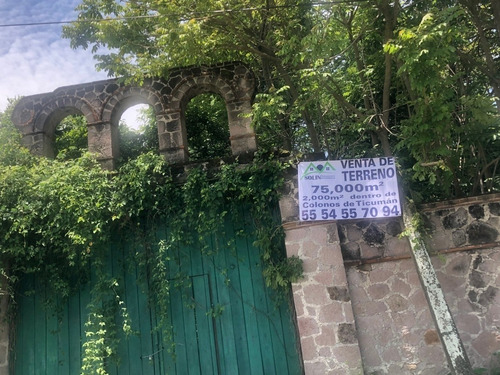 Imagen 14 de 14 de Venta De Terrenos En Ticuman Morelos