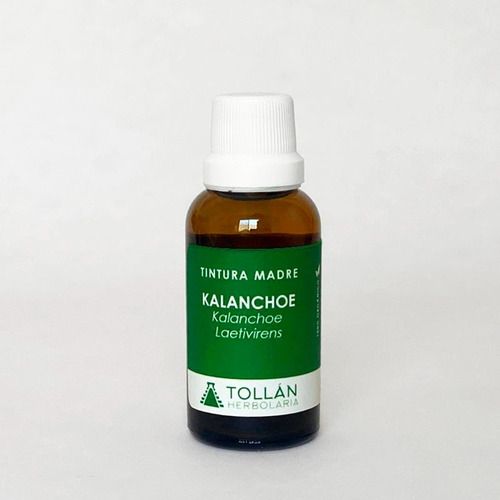 Kit Plantas Medicinales Tintura Madre Para Emociones 7 Pzs.