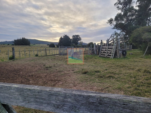 Imagen 5 de 26 de Campo De 34 Hás Con Casa Ruta 12 Pueblo Edén