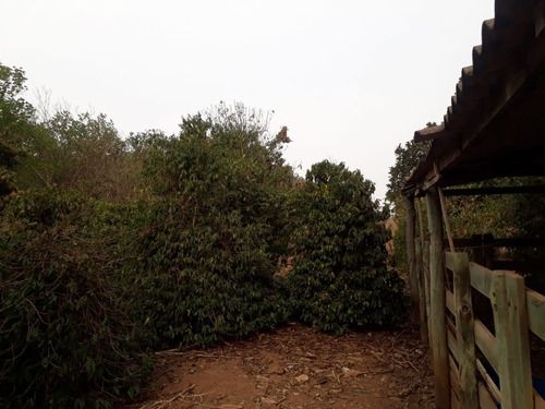 Imagem 6 de 14 de Linda Chácara A Venda