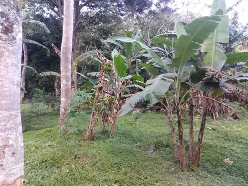 Venta De Finca En Villeta, Vereda Cune.
