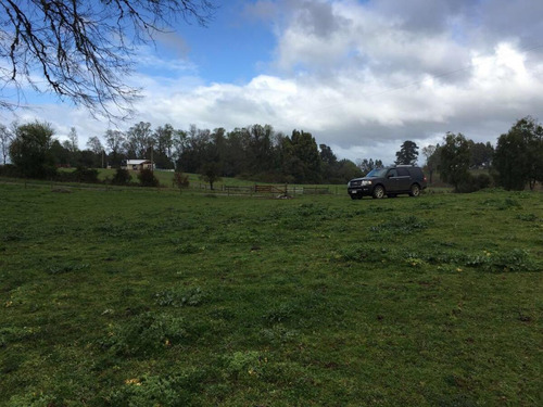 Hermosa Parcela En Rapaco Sector Los Canales La Union