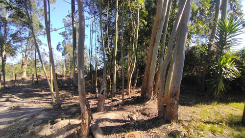 Imagen 8 de 24 de Terreno En Venta En Balneario Buenos Aires