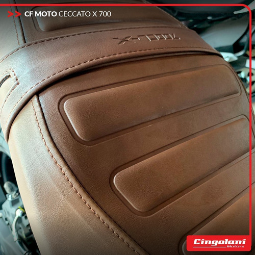 Imagen 4 de 8 de Cf Moto Ceccato 700 X