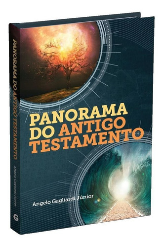 Panorama Do Antigo Testamento - Angelo Gagliardi Júnior