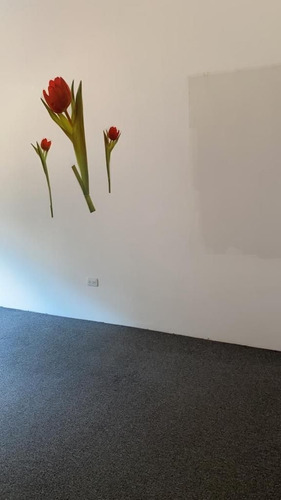 Imagen 12 de 24 de Terreno En Jardines Del Pedregal