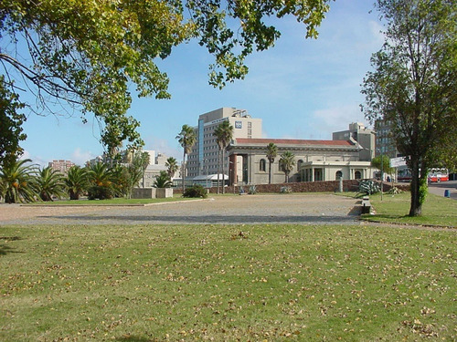 Imagen 2 de 4 de Hotel, Pensionado, Cuido Perros De Apartamento Cuando Viajás