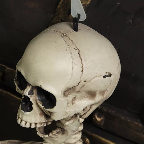 Esqueleto Humano Para Decoración De Fiesta De Halloween