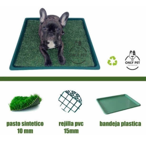 Bandeja Sanitaria, Baño Para Perros Medianos 46x46x4cm