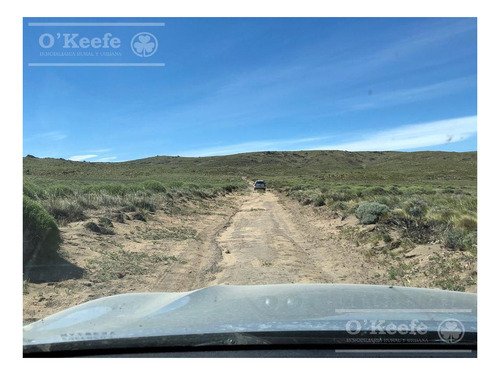 Imagen 20 de 28 de 8.805 Has En Neuquen Venta / Alquiler, Con 18 Km De Costa Del Embalse Piedra Del Águila.