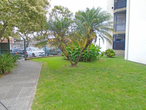 Venta Departamento 3 Ambientes En Carapachay