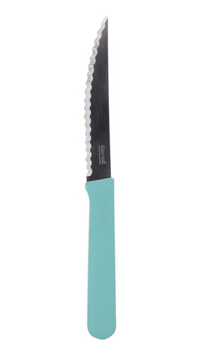 Cuchillo De Acero Inoxidable C/mango Plástico Carol Soft X12