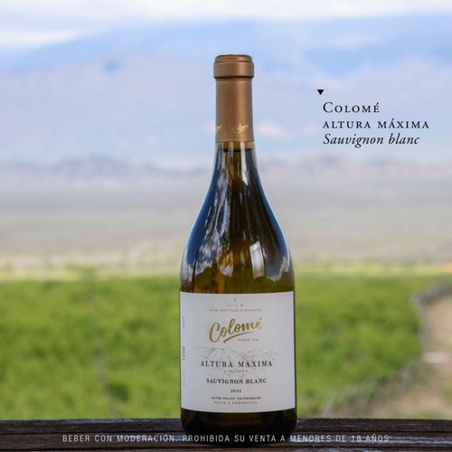 Imagen 2 de 10 de Vino Colomé Altura Maxima Sauvignon Blanc 750 Ml