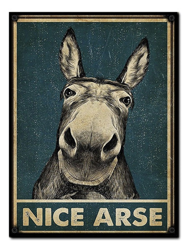 #1502 - Cuadro Decorativo - Burro Poster Retro No Chapa 